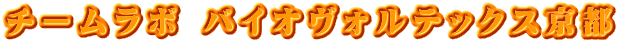 チームラボ バイオヴォルテックス京都